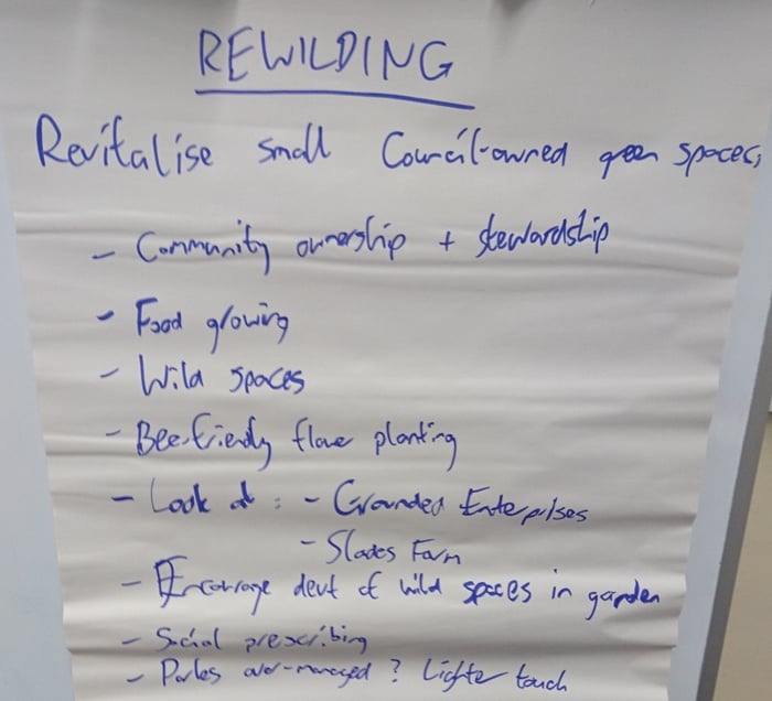 Small group discussion notes - rewilding