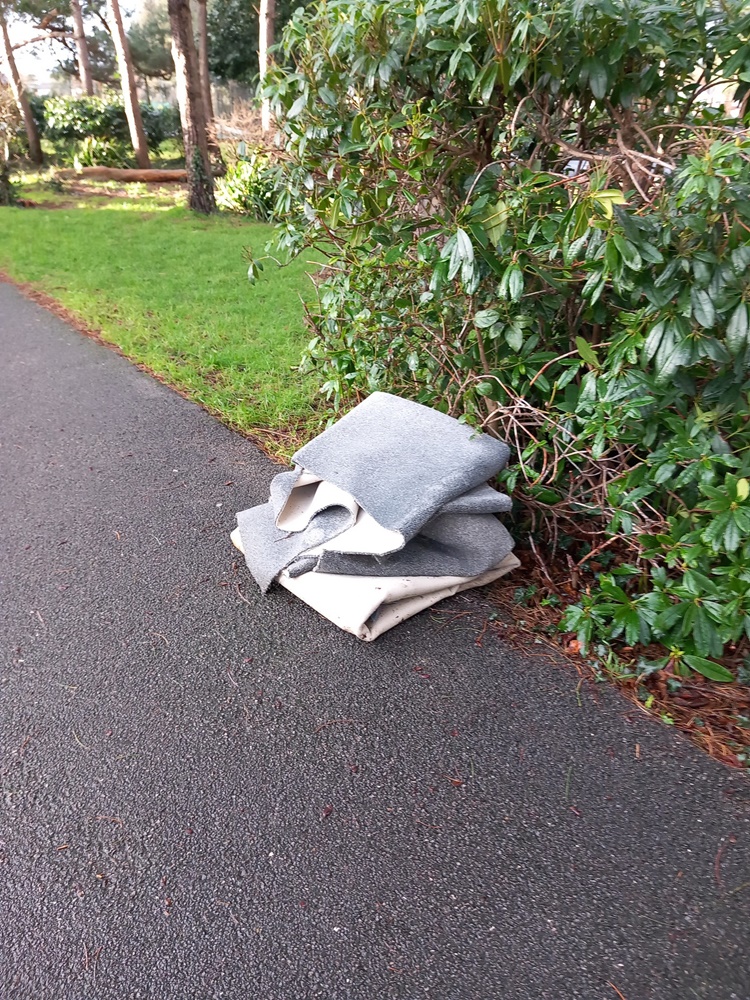Fly-tipping in Fitzharris Avenue reported by Simon Bull
