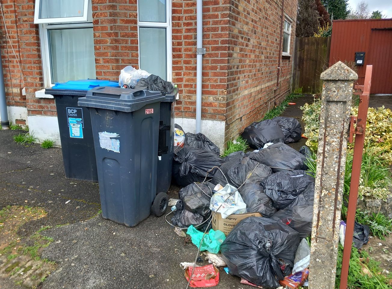 Messy bins in Winton East reported by Simon Bull