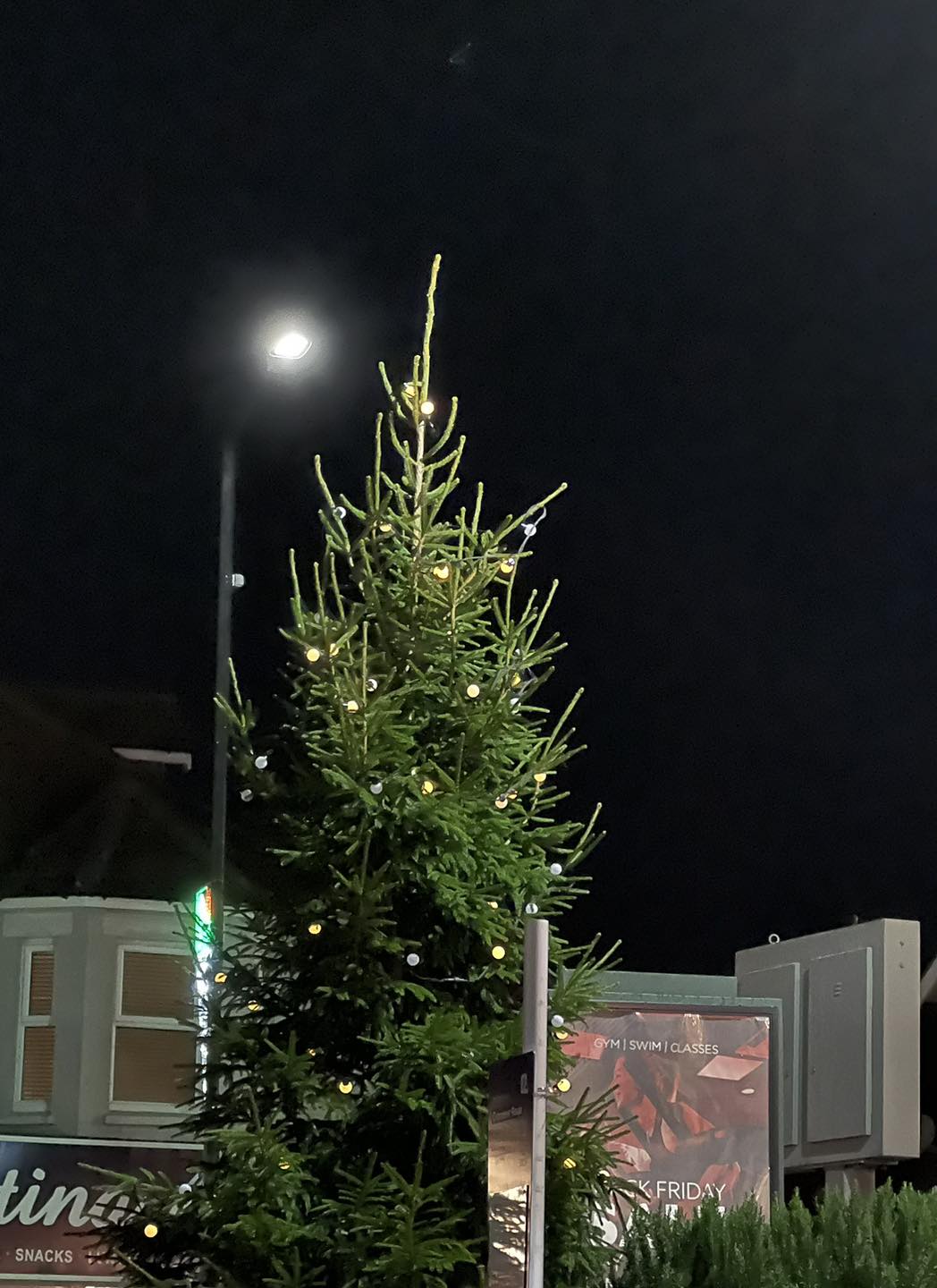 Wimborne Road Christmas tree